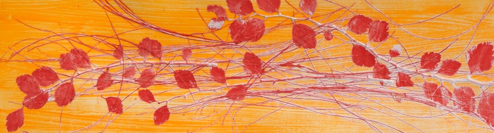 Elizabeth Gaye MacDonald